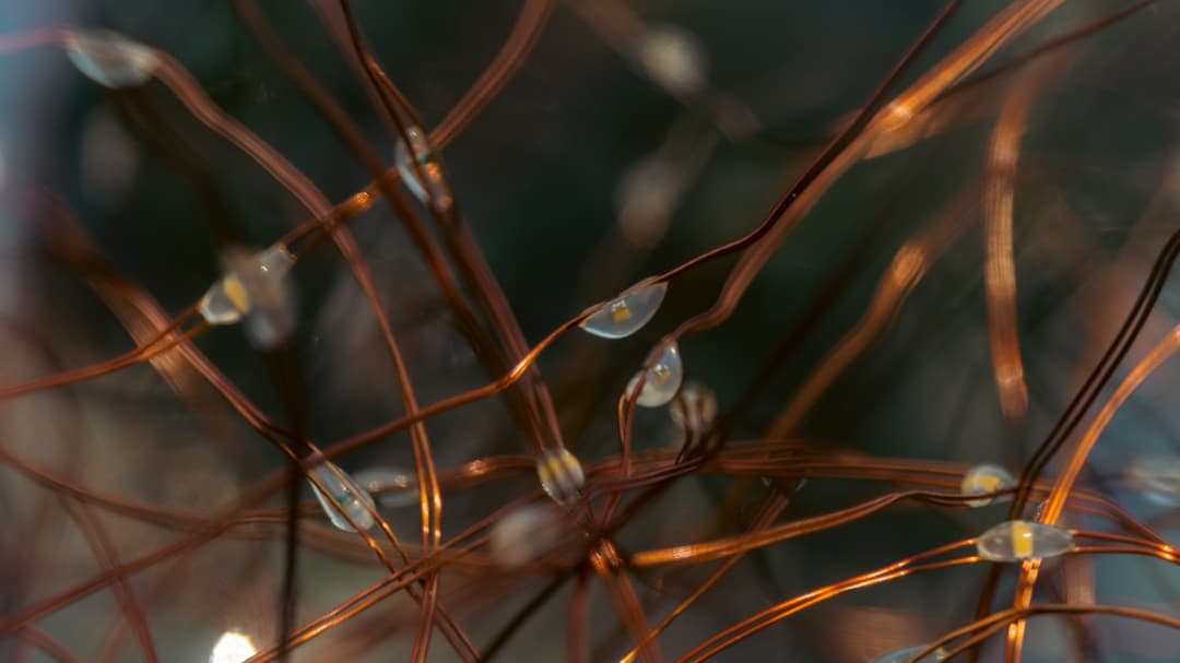 神経のイメージ