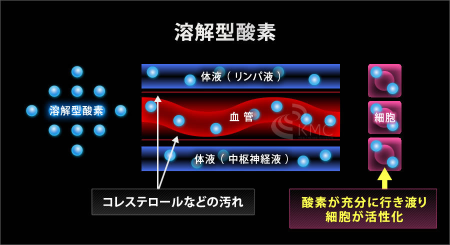 酸素カプセルに入ると溶解型酸素が吸収できる解説の図